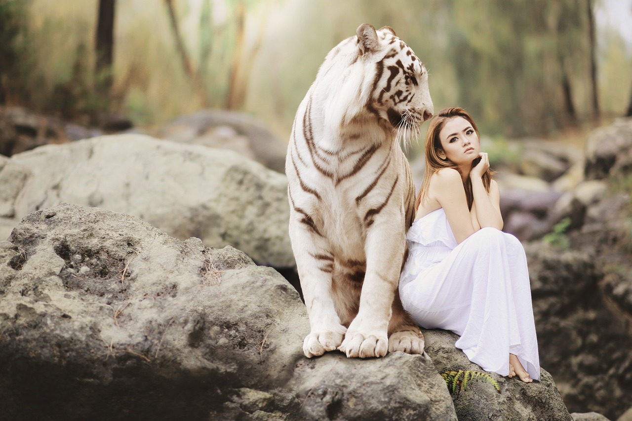 Advanced Best Live Dragon Tiger Online: Step-by-Step Guide for India (2027)